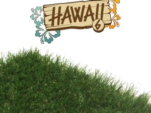 Césped artificial Hawaii by Speedgrass