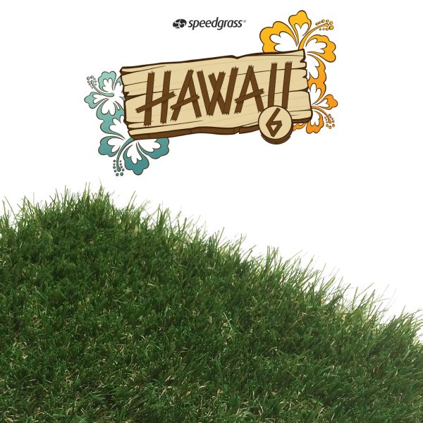 Césped artificial Hawaii by Speedgrass